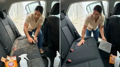 Os pelos e o cheiro do patudo no carro não têm de ficar: passos simples para recuperar um interior fresco